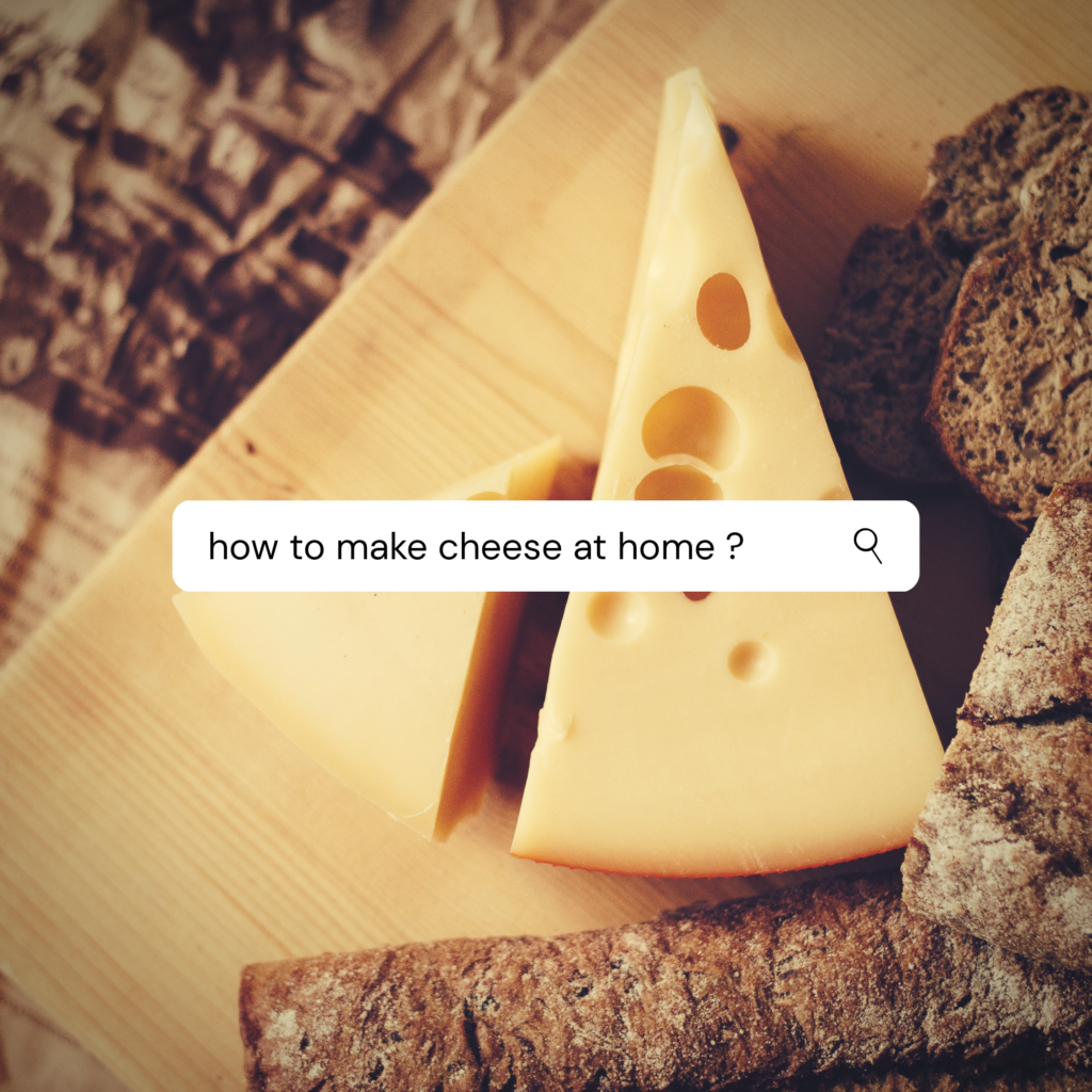 how to make cheese at home
